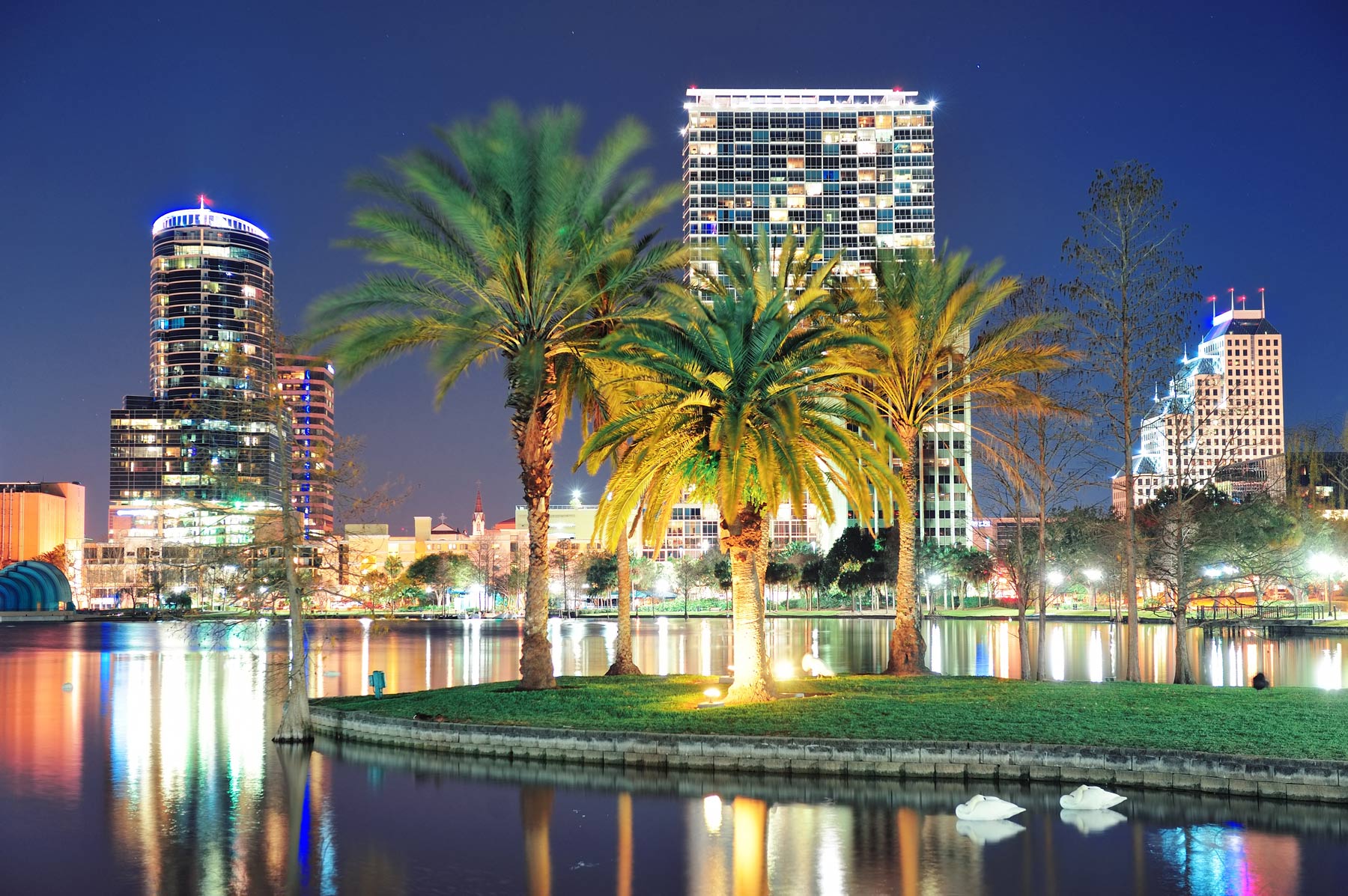 OrlandoNight Orlando skyline at night with palm trees